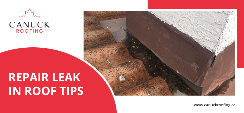 check out our tips for repairing roof leaking issue