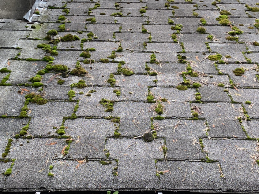 Image of T-Lock Shingles installed on roof
