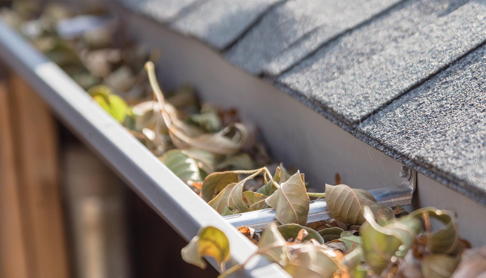 Close up of gutters before being cleaned by Canuck Roofing in Vancouver.