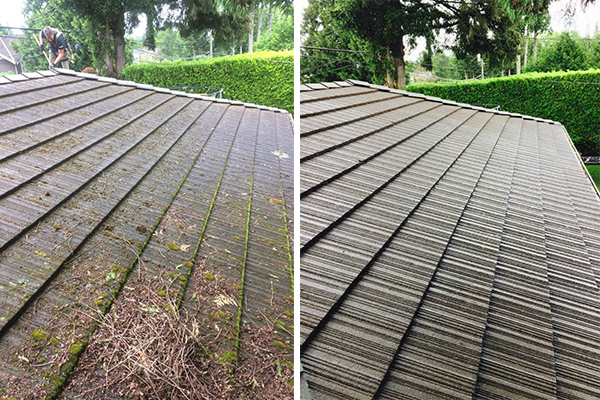 Our project of roof moss removal and cleaning services - before after